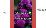 فال روزانه شخصی/ 30 خرداد ماه + فیلم
